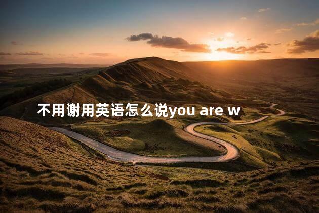 不用谢用英语怎么说you are welcome，如何表达不用谢用英语怎么说